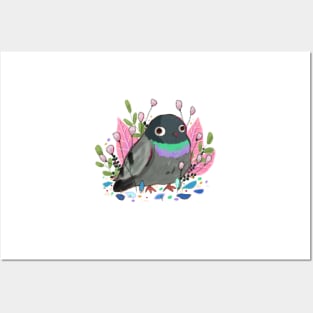 Cute pigeon Posters and Art